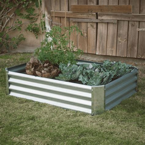 raised beds with corrugated metal